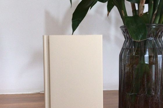 Хорошая цена Производственная линия Manunal Oxidation мощностью 900 тонн в месяц онлайн